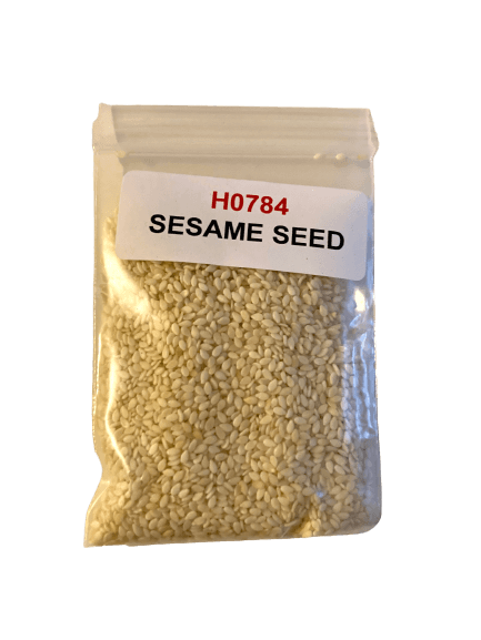 Sesame Seed