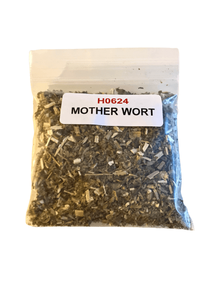 Motherwort
