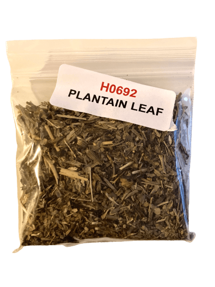 Plantain Leaf