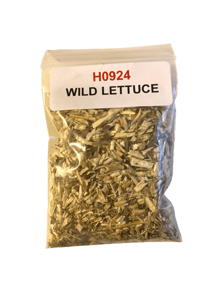 Wild Lettuce
